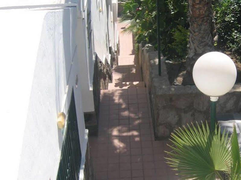 Apartamentos Laguna Puerto Rico  Exteriör bild